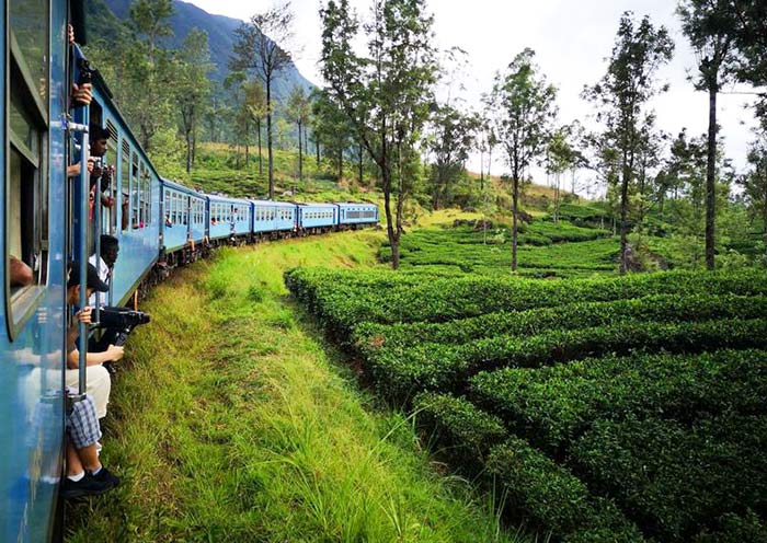 Scenic Train View Tour