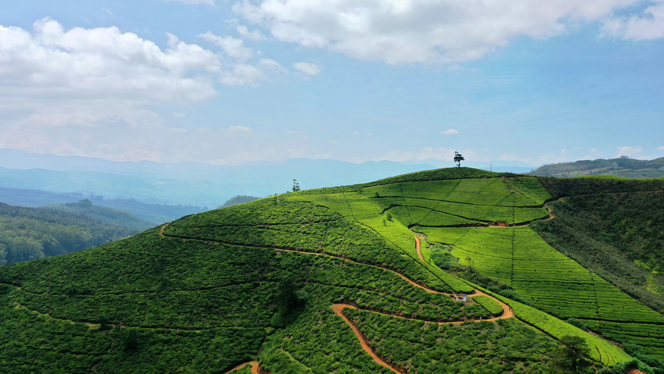Scenic Sri Lanka & Southern Escape photo 2